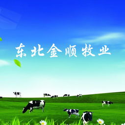 長春做網(wǎng)站公司 網(wǎng)站建設(shè) 網(wǎng)站設(shè)計(jì) 微信平臺制作 億人科技13756566613,18946773937,18186893973