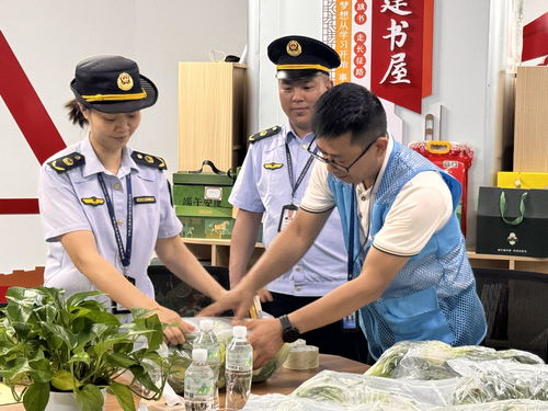 廣西龍勝“你點我檢” 科技賦能校園餐飲管理，守護學生舌尖安全